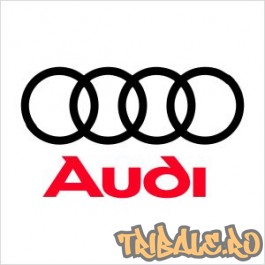 Logo Audi (monocrom sau bicolor)